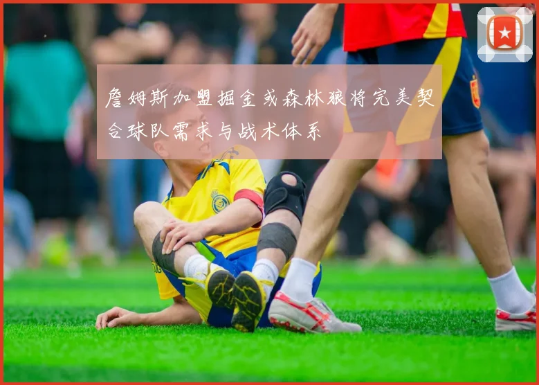 詹姆斯加盟掘金或森林狼将完美契合球队需求与战术体系