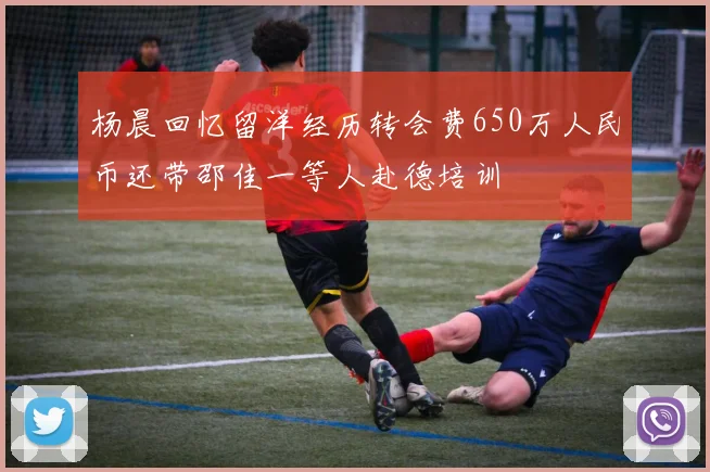 杨晨回忆留洋经历转会费650万人民币还带邵佳一等人赴德培训